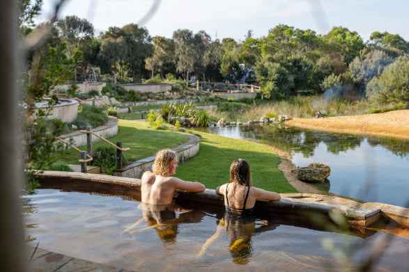 Melbourne to Mornington Peninsula Hot Springs: The Ultimate Climate-Positive Day Trip for Relaxation in 2026 - Zero Trace Tours