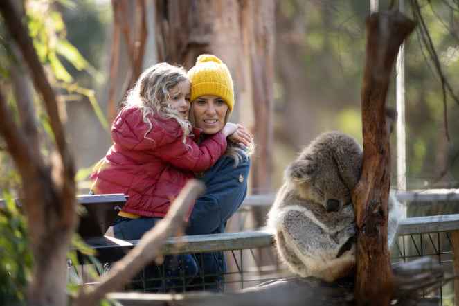 Group Travel with Children: How to Make Family Adventures Sustainable and Enjoyable