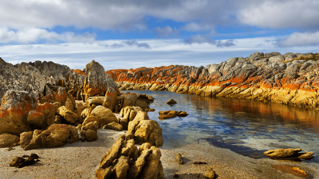 Sustainable Hiking in Tasmania: 7 Practical Tips for Climate-Positive Adventures in 2026 - Zero Trace Tours