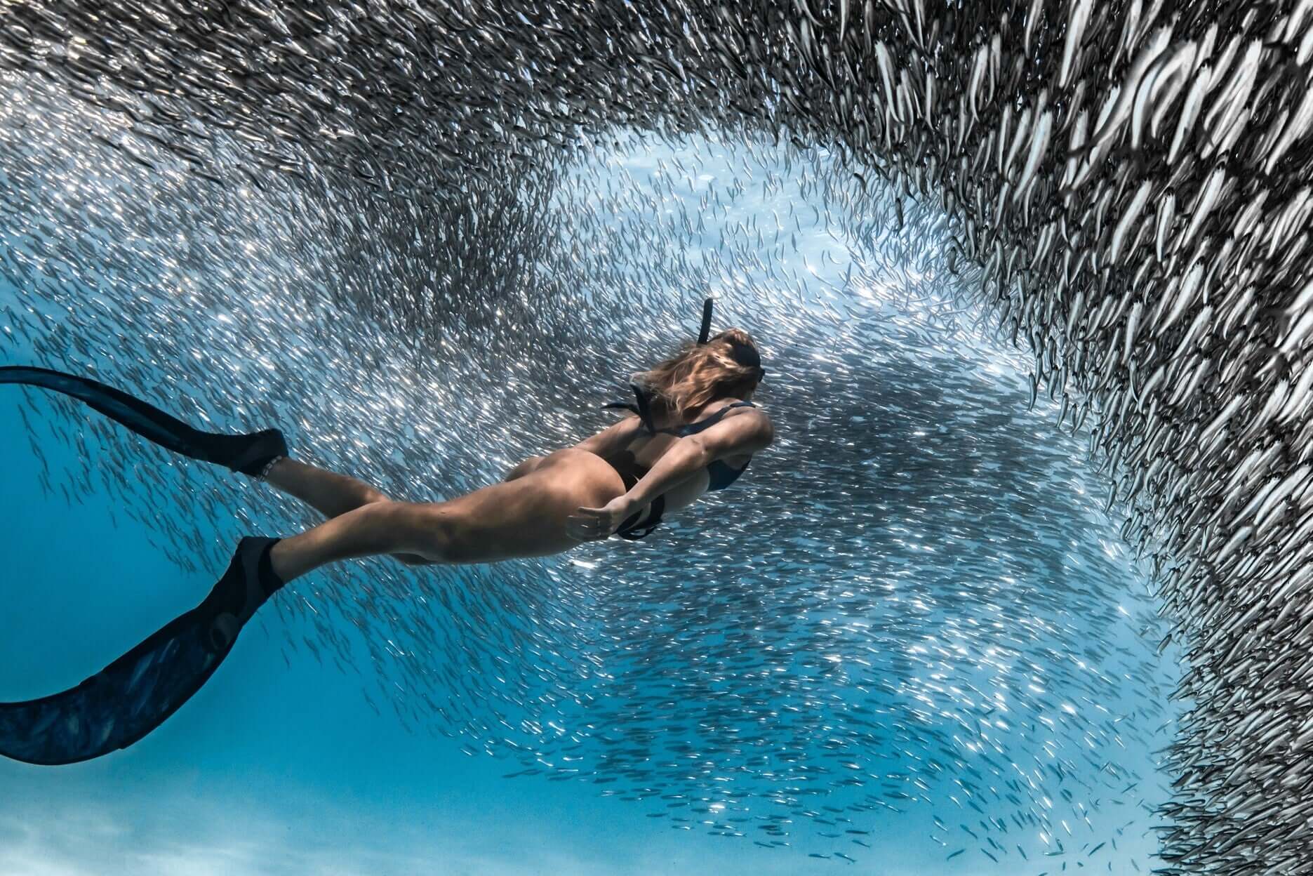 Ningaloo Season Playbook: When to Kayak, Snorkel & See Whale Sharks - Zero Trace Tours