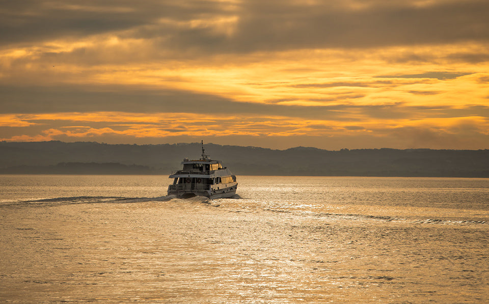 Ethical Seal Watching in Australia: Your 2026 Guide to Sustainable Phillip Island Cruises - Zero Trace Tours