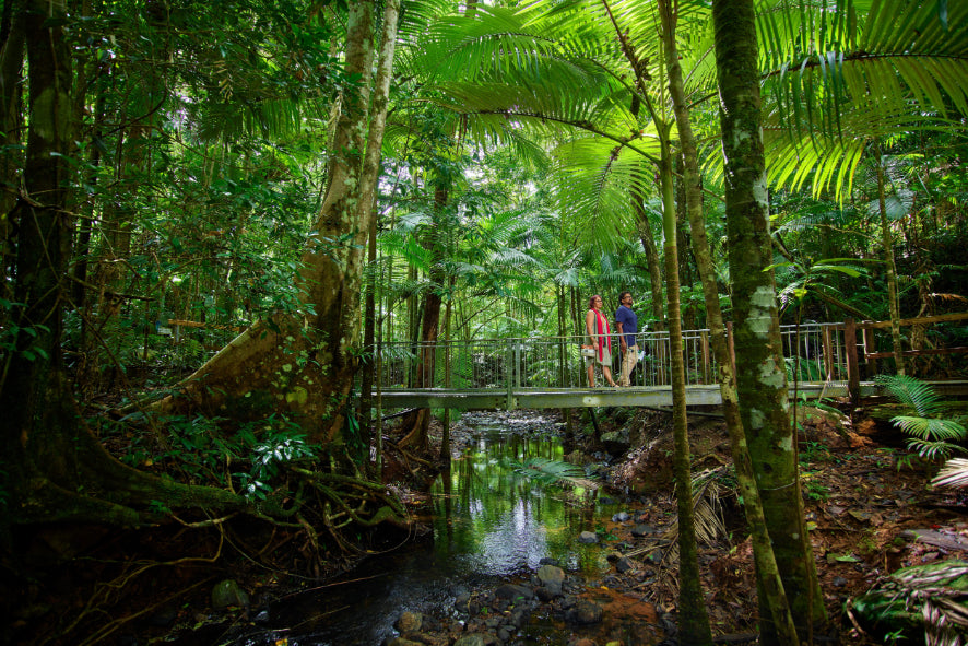 Daintree & Rainforests - Zero Trace Tours