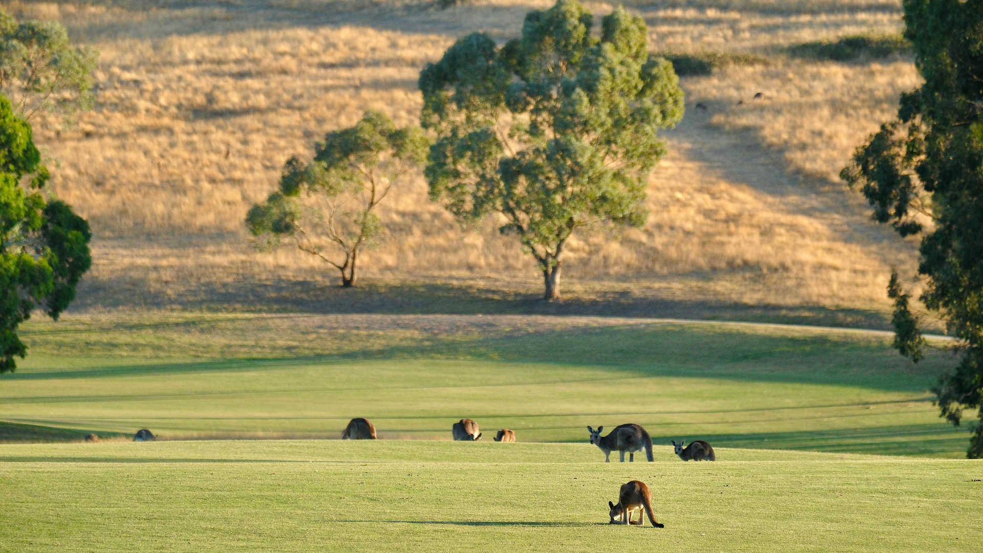 Australian Capital Territory (ACT) - Zero Trace Tours