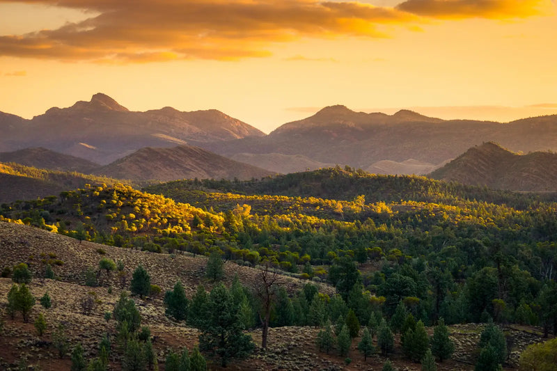 South Australia (SA) - Zero Trace Tours