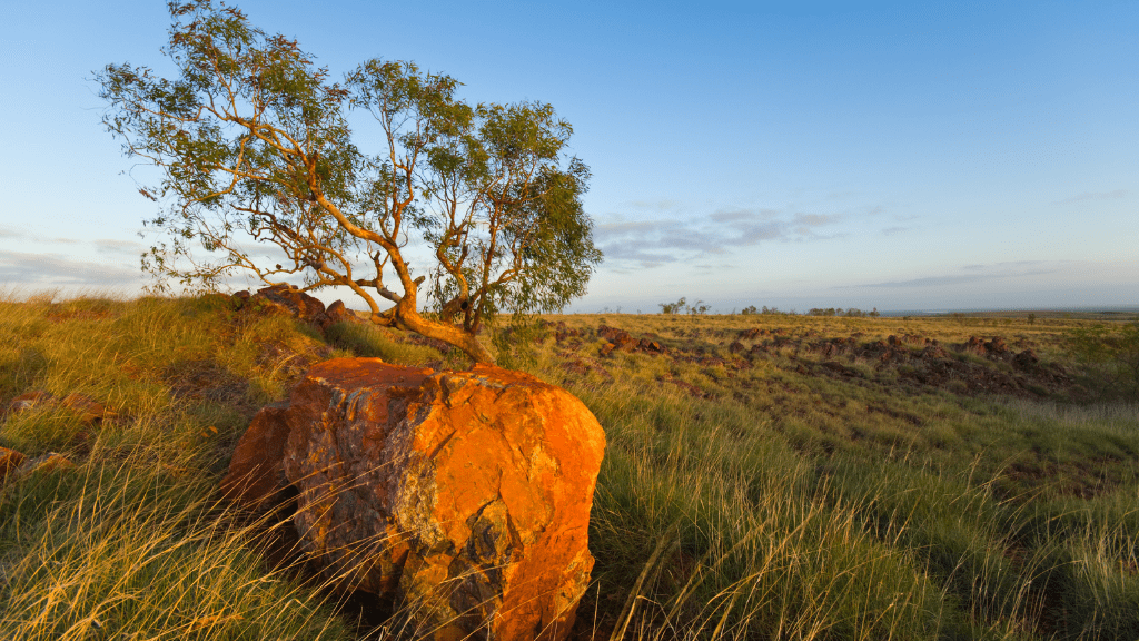 Climate-Positive Picks - Zero Trace Tours