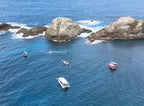 Byron Bay Julian Rocks Snorkeling Tour: Marine Biologist Guided