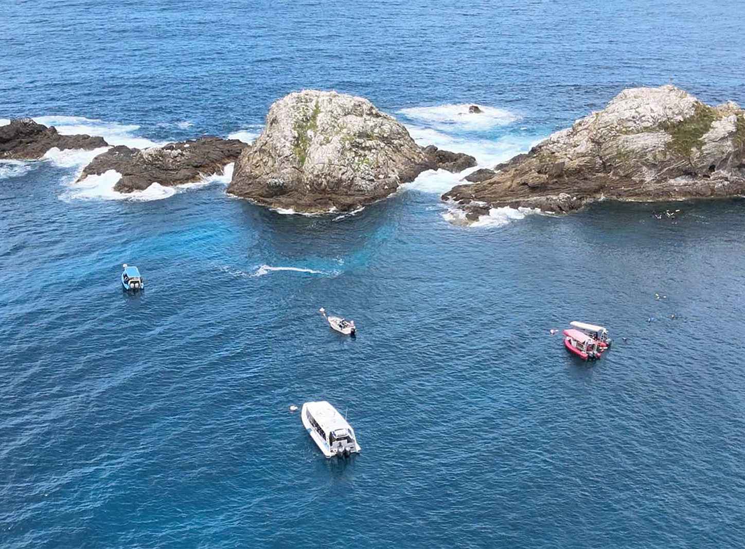 Byron Bay Julian Rocks Snorkeling Tour: Marine Biologist Guided