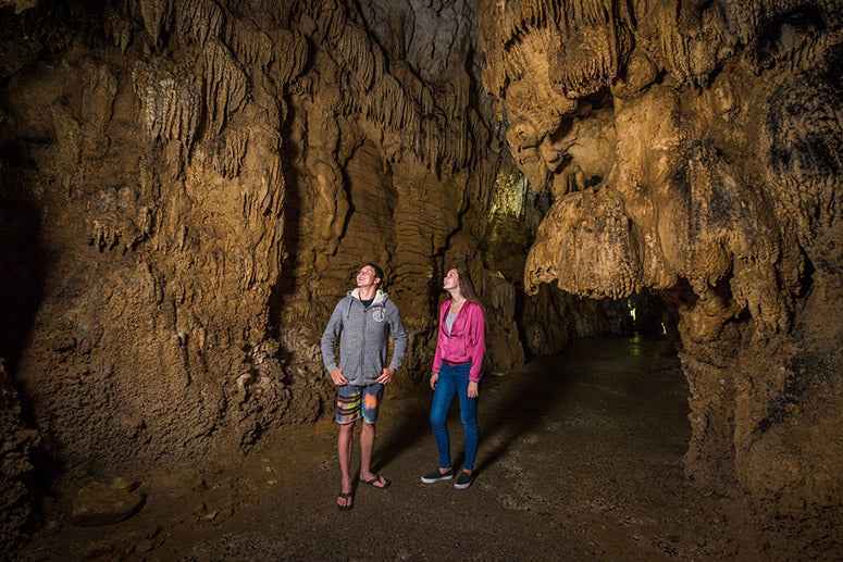 Hobbiton Glowworms Geothermal 2-Day Adventure: Auckland Escape