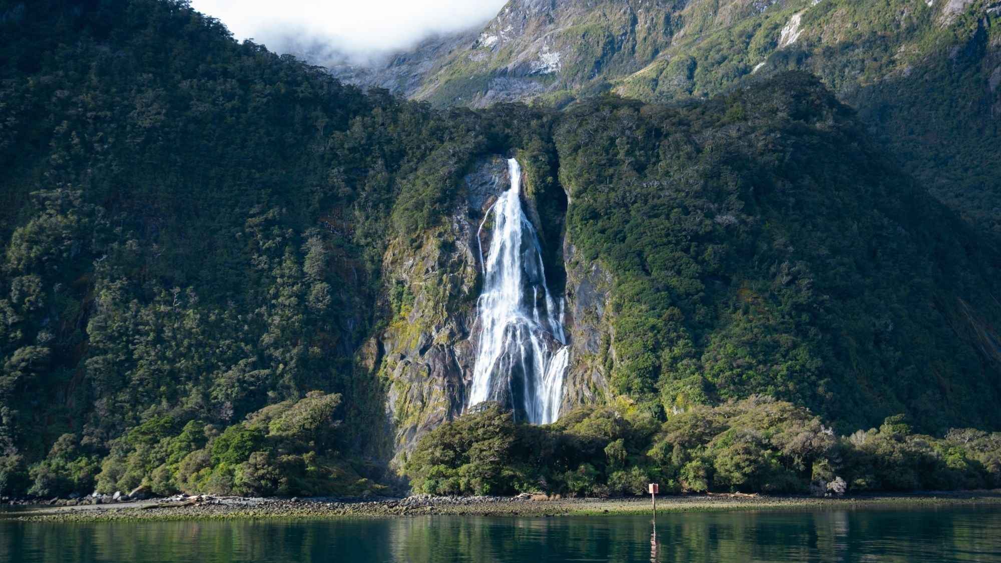 Milford Sound Helicopter Tour from Te Anau: Cruise & Scenic Flight