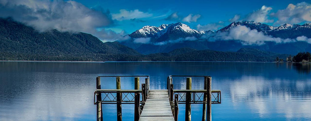 Catlins Day Tour Dunedin Te Anau: Lighthouses, Falls & Wildlife