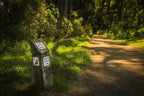 Lothlorien Gladden Fields Day Tour: Lord of the Rings Filming Locations