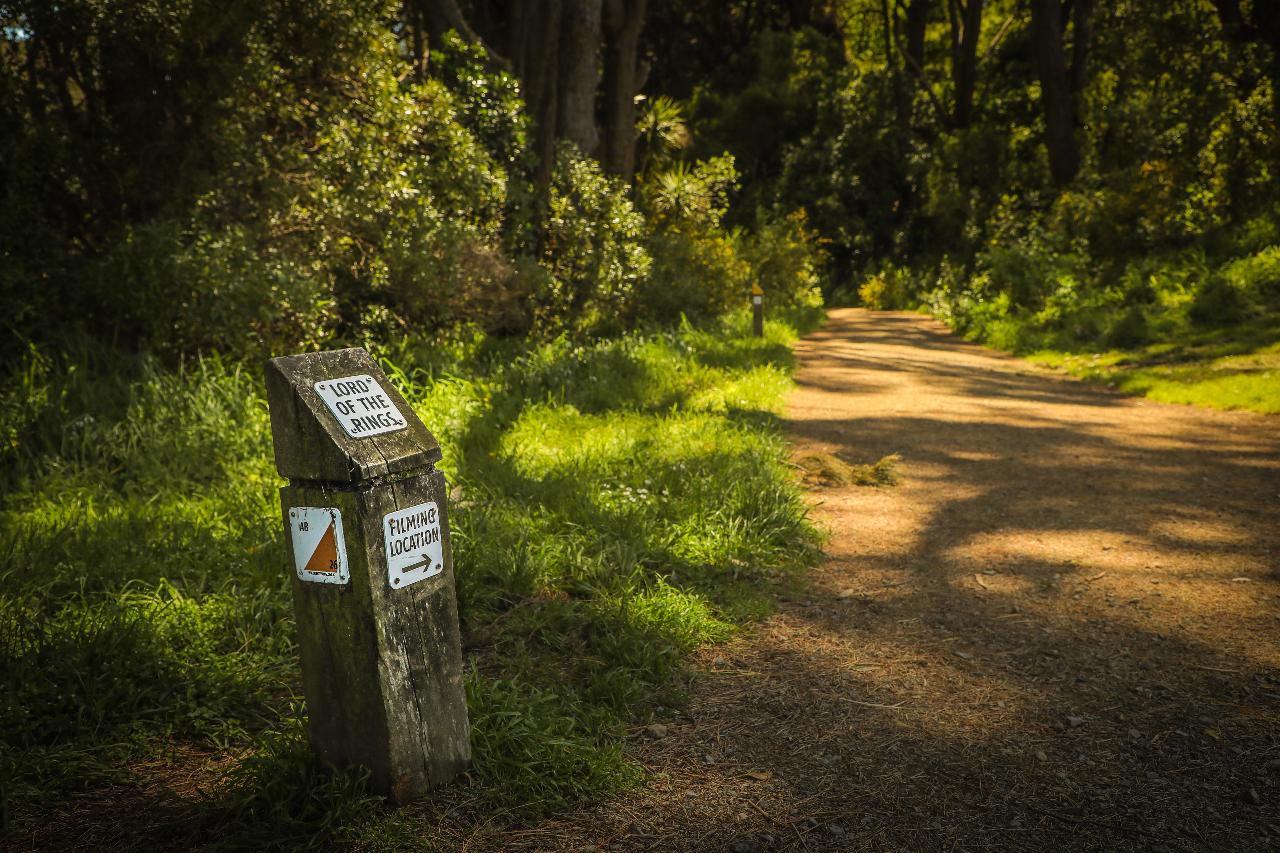 Lothlorien Gladden Fields Day Tour: Lord of the Rings Filming Locations