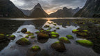 Milford Sound Helicopter Tour from Te Anau: Cruise & Scenic Flight