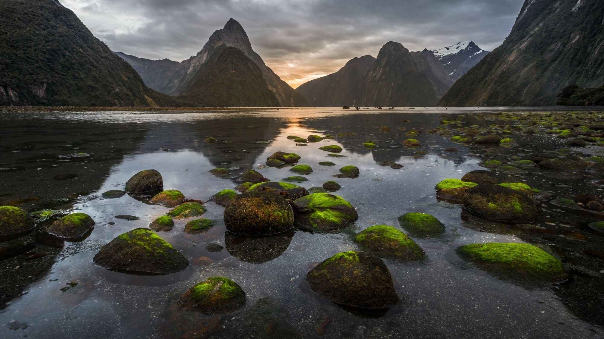 Milford Sound Helicopter Tour from Te Anau: Cruise & Scenic Flight
