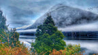 Milford Sound Helicopter Tour from Te Anau: Cruise & Scenic Flight