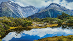 Milford Sound Helicopter Tour from Te Anau: Cruise & Scenic Flight