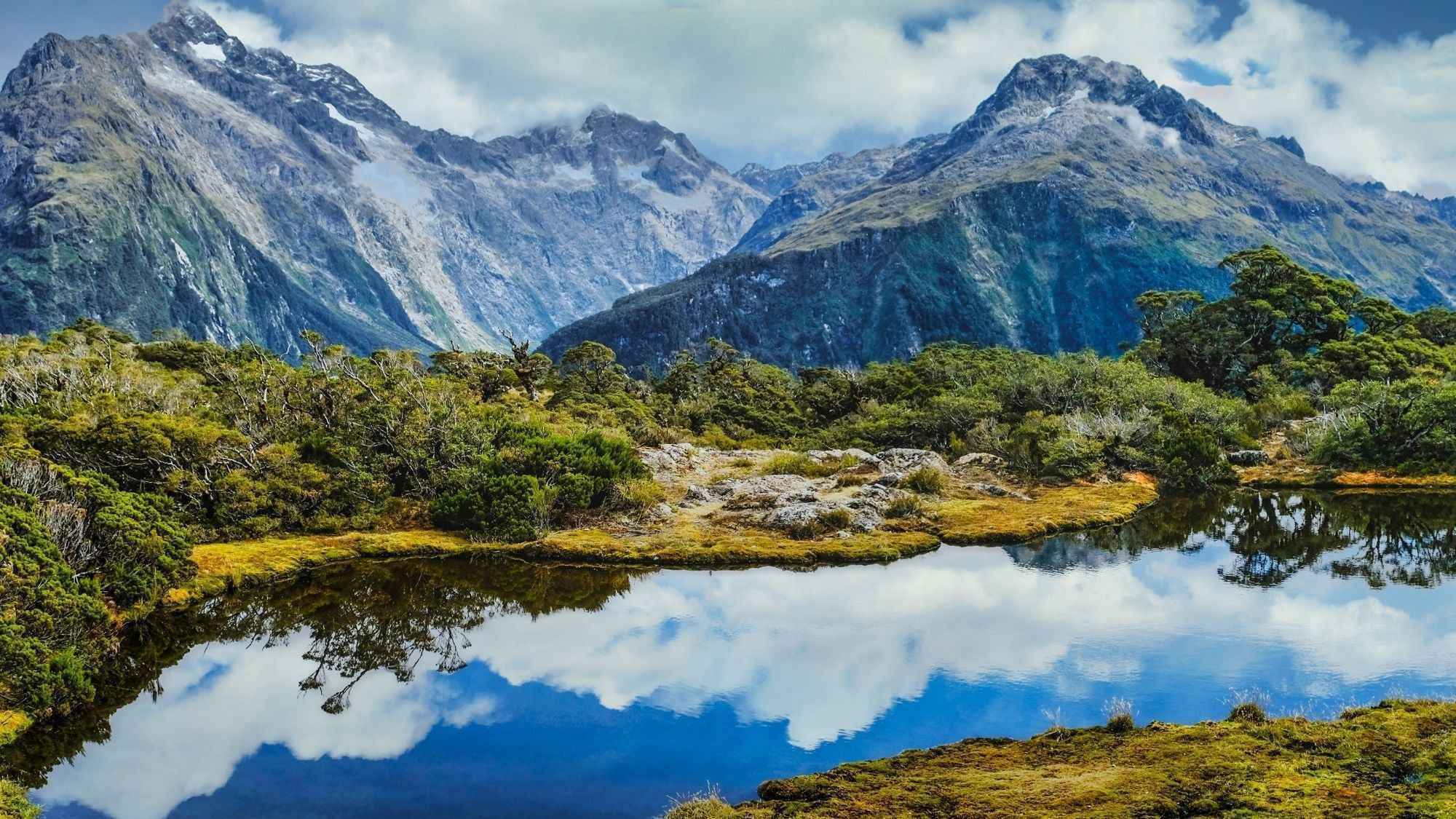 Milford Sound Helicopter Tour from Te Anau: Cruise & Scenic Flight
