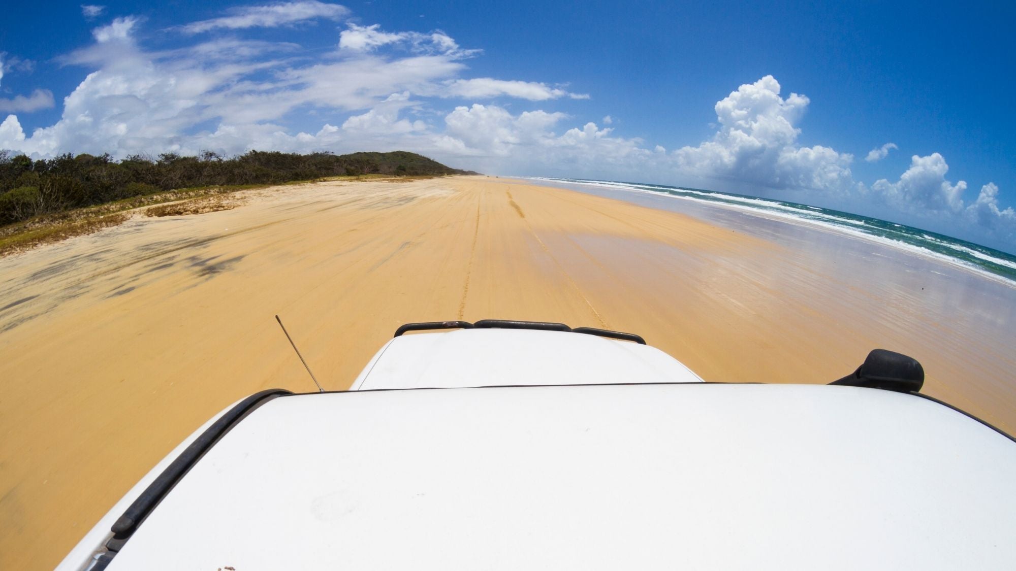 Remote K'gari Whale Experience Day Tour: Creeks, Dunes & Humpbacks