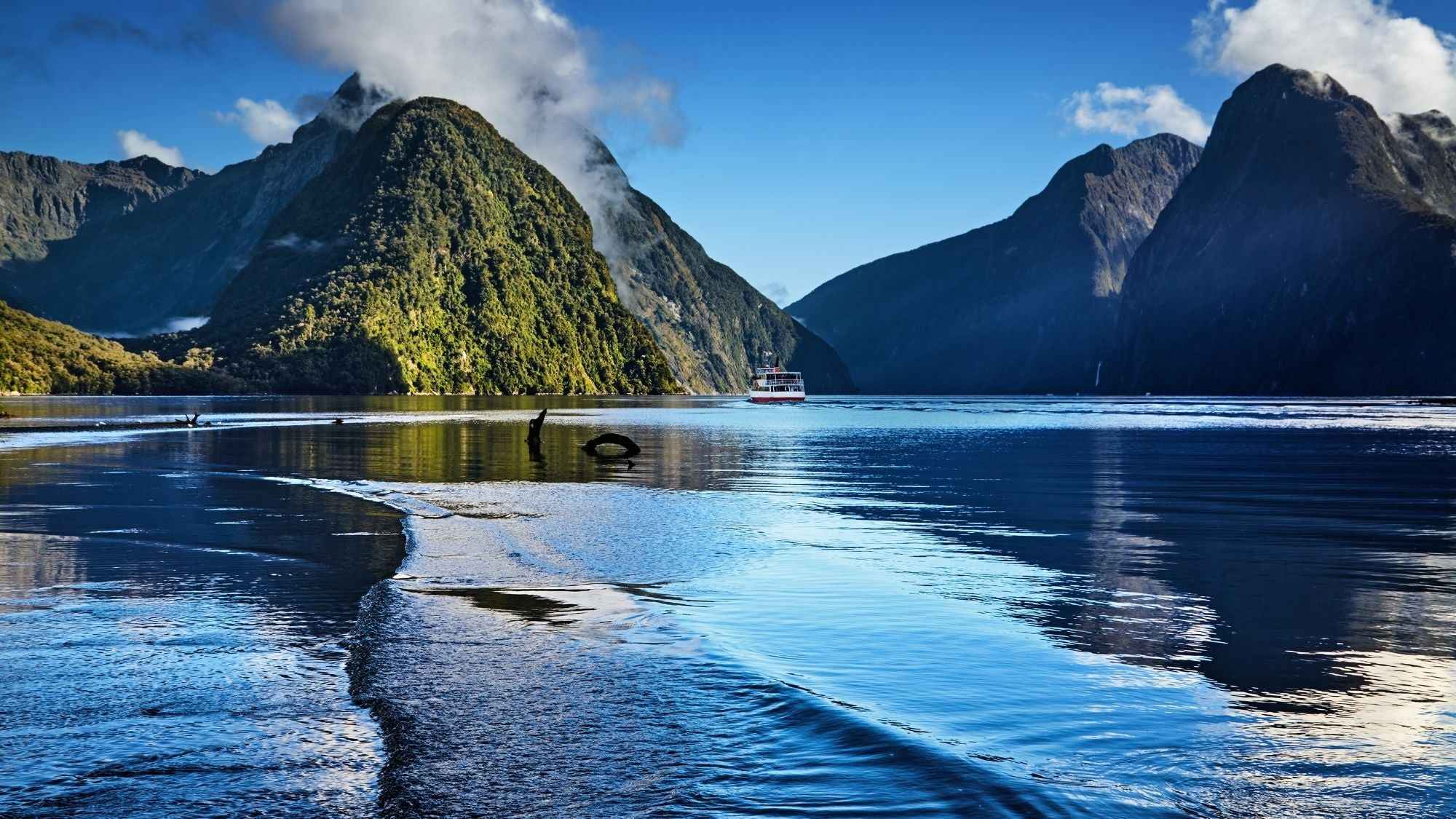 Milford Sound Helicopter Tour from Te Anau: Cruise & Scenic Flight