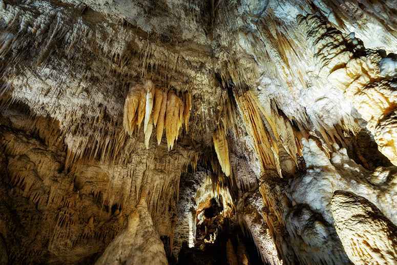 Hobbiton Glowworms Geothermal 2-Day Adventure: Auckland Escape
