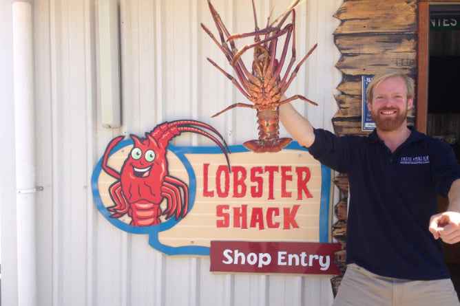Perth Coral Coast Discovery: Lobster, Lavender & Pinnacles Day Tour