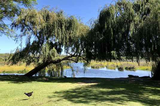 Perth Coral Coast Discovery: Lobster, Lavender & Pinnacles Day Tour