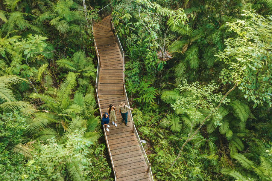 3 Day Daintree Rainforest, Cape Tribulation & Port Douglas Tour from Cairns - Zero Trace Tours