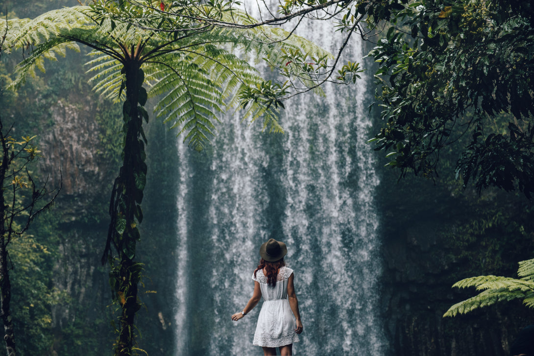 3 Day Daintree Rainforest, Cape Tribulation & Port Douglas Tour from Cairns - Zero Trace Tours