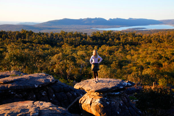 Grampians National Park Day Tour from Melbourne: Wildlife, Waterfalls & Aboriginal Culture Discovery - Zero Trace Tours