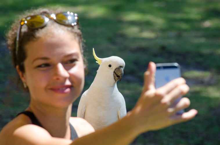Melbourne Great Ocean Road & 12 Apostles Discovery Day Tour