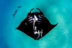 8 Day West Coast Explorer from Perth to Exmouth - Zero Trace Tours