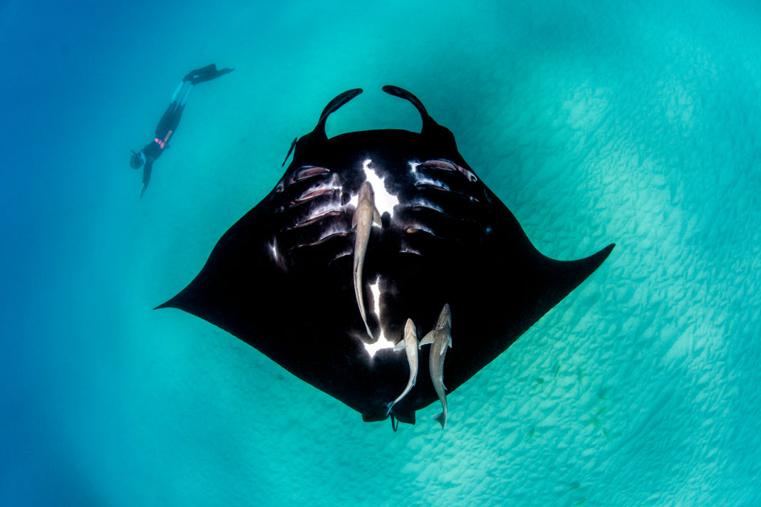 8 Day West Coast Explorer from Perth to Exmouth - Zero Trace Tours