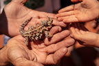 8 Day West Coast Explorer from Perth to Exmouth - Zero Trace Tours