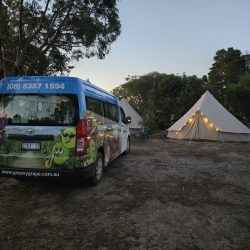 Kangaroo Island 2-Day Wildlife Adventure: Beaches, Koalas & Sea Lions