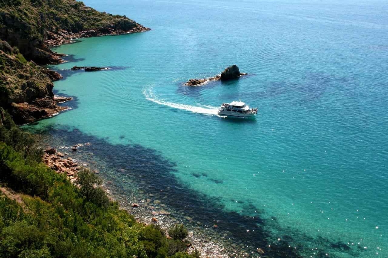 Phillip Island Dolphin & Whale Cruise from San Remo