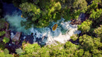 Kaituna River Rafting: Grade 5 Waterfall Adventure