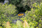 Kaituna River Rafting: Grade 5 Waterfall Adventure