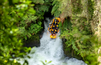 Kaituna River Rafting: Grade 5 Waterfall Adventure