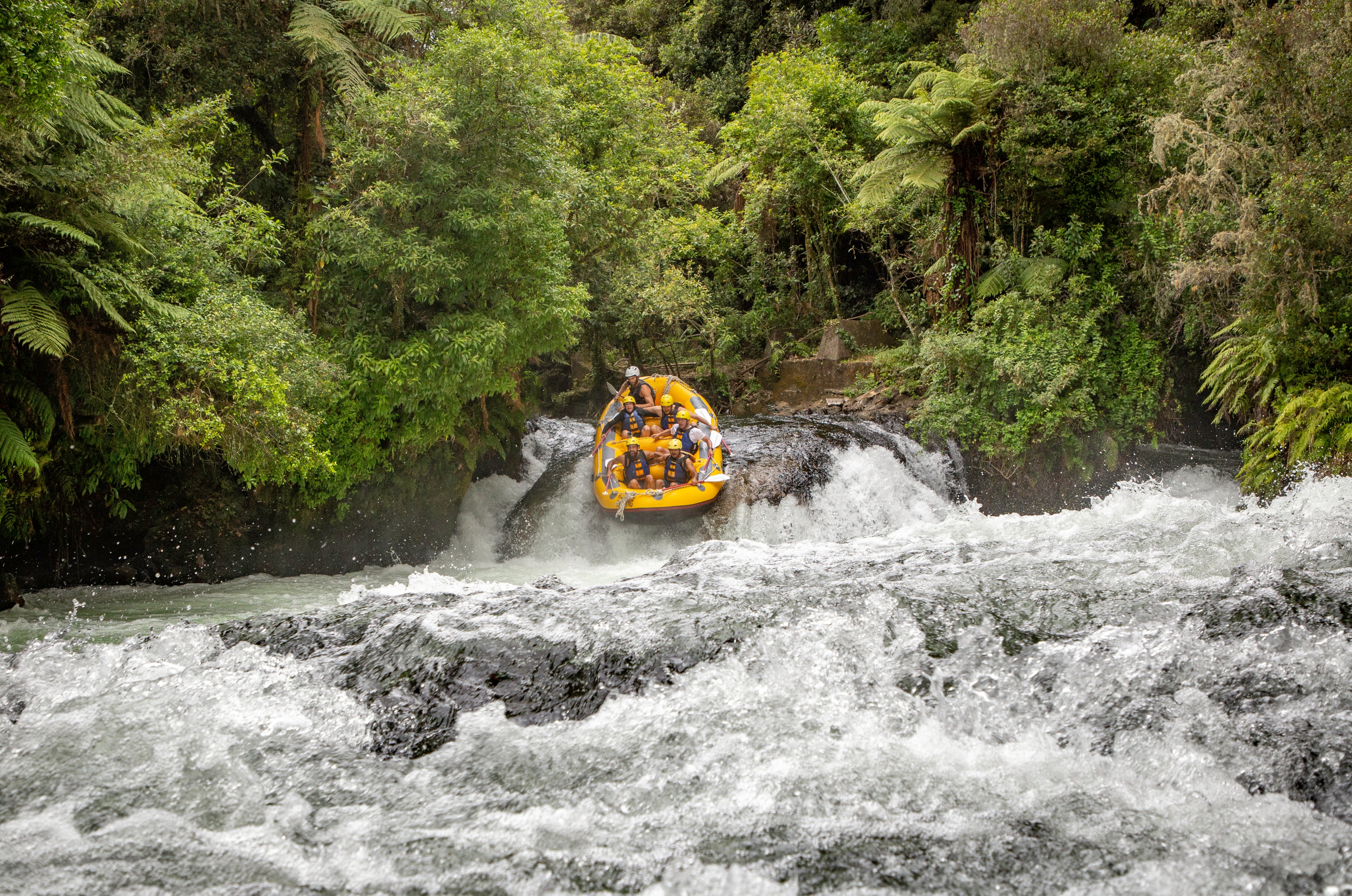 Kaituna River Rafting: Grade 5 Waterfall Adventure