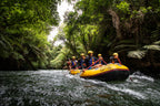 Kaituna River Rafting: Grade 5 Waterfall Adventure