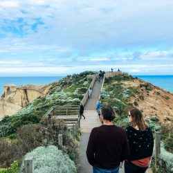 Great Ocean Road 4-Day Melbourne to Adelaide Tour: Coast, Caves & Vineyards