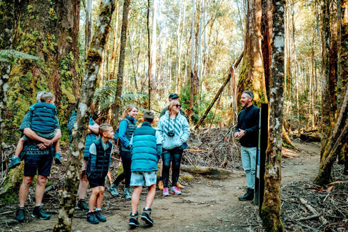 Mt Field Day Tour: Russell Falls, Devils & Mountain Views