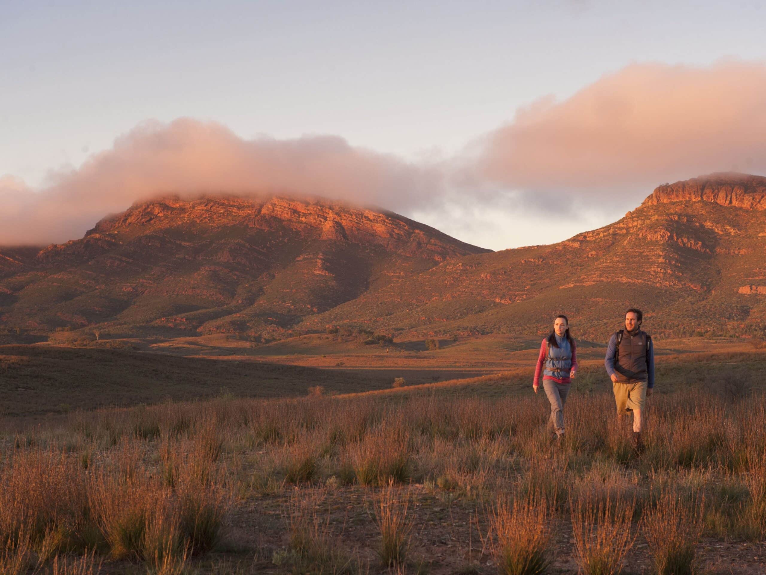 Flinders Ranges 5-Day Ikara Guided Walk: Ancient Gorges & Pound Views