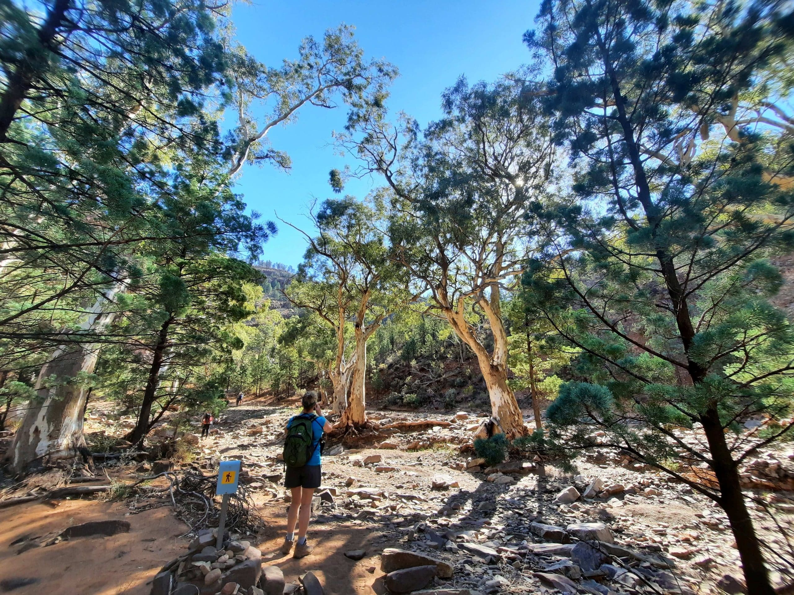 Flinders Ranges 5-Day Ikara Guided Walk: Ancient Gorges & Pound Views