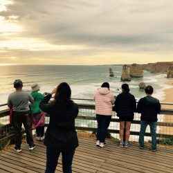 Great Ocean Road 4-Day Melbourne to Adelaide Tour: Coast, Caves & Vineyards