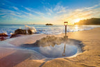 Cathedral Cove Hot Water Beach Coromandel Day Tour from Auckland