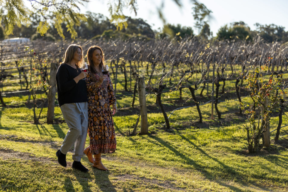 Hunter Valley Wine Tasting & Gourmet Day Tour from Sydney - Zero Trace Tours