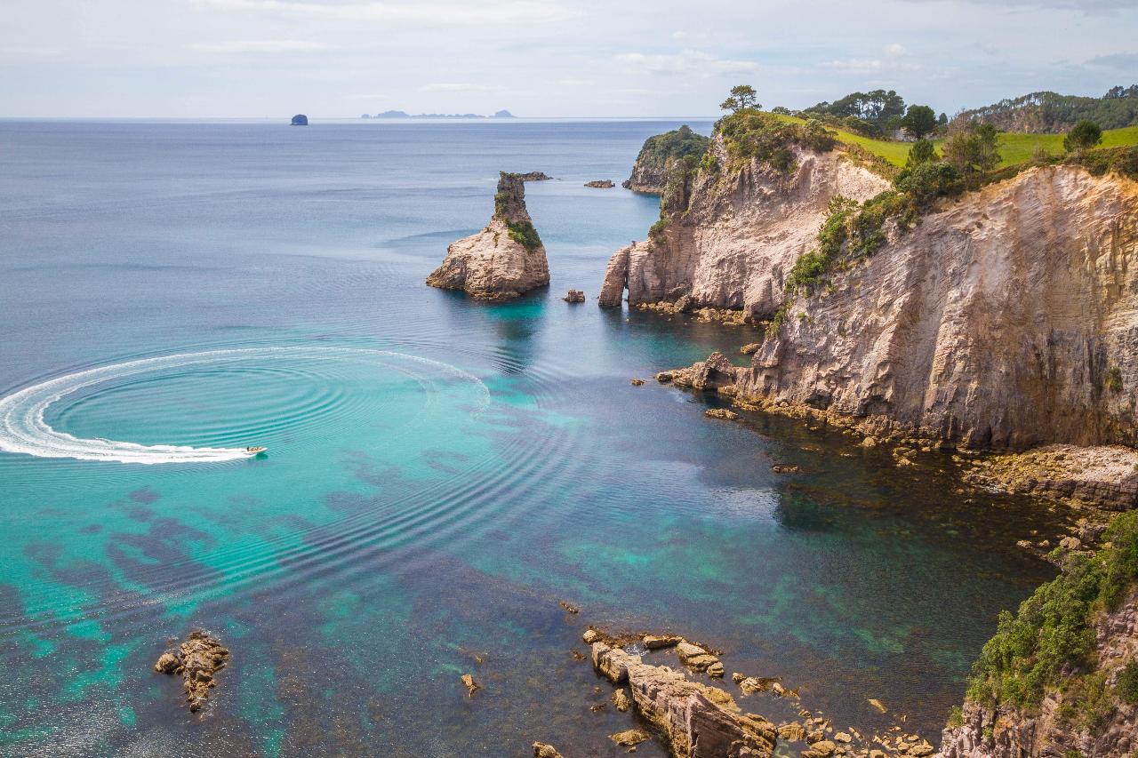 Cathedral Cove Hot Water Beach Coromandel Day Tour from Auckland