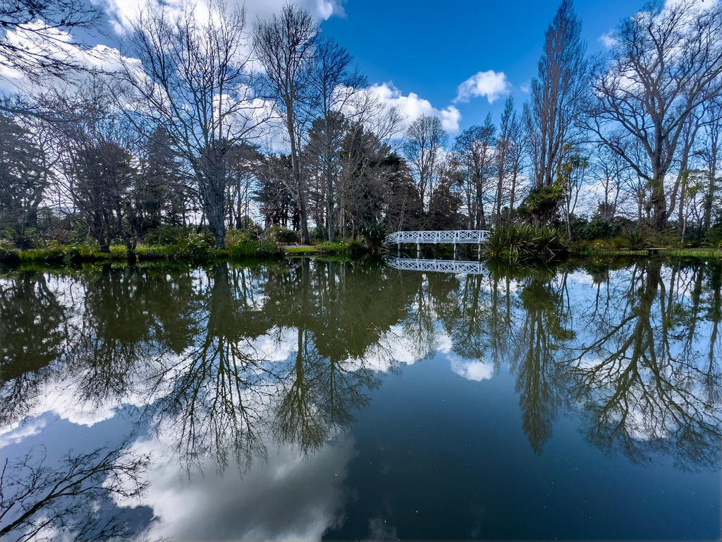 Lothlorien Gladden Fields Day Tour: Lord of the Rings Filming Locations