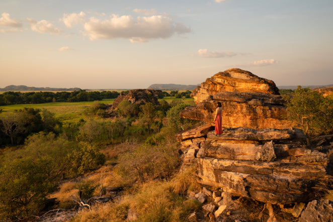 Kakadu Rock Art & Crocodile Day Tour from Darwin - Zero Trace Tours